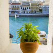 Porto Maltese 