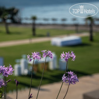 Euphoria Resort WEDDING