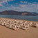 Georgioupolis Suites & Aqua Park 