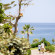 Iberostar Selection Creta Marine  