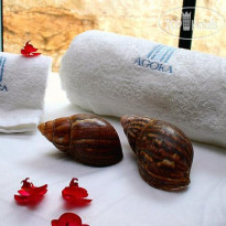 Agora Spa And Resort 