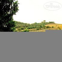 Cortijo Barranco