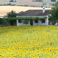 Cortijo Barranco 