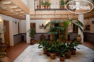 Фотографии отеля  Sercotel Pintor El Greco 3*