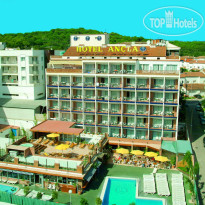 H-Top Palm Beach