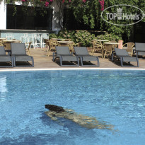 Acapulco Swimming Pool