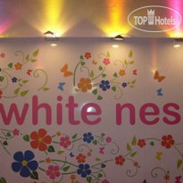 White Nest Hostel