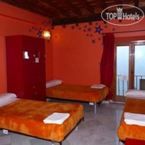 White Nest Hostel