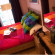 Hostal ColorsHost 