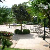 Sercotel Ciscar