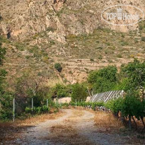 Cortijo La Alberca 