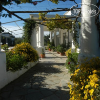 Bellavista