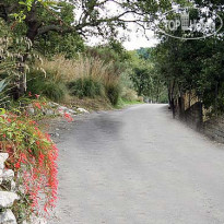 Agriturismo Fattoria Terranova 