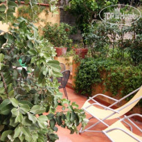 Agriturismo Fattoria Terranova 