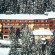 Фото Carlo Magno Zeledria hotel Madonna di Campiglio