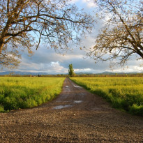 Tenuta Rivalazzo 