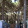 Camping Village Africa 