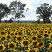 Agriturismo Le Terre Dei Cavalieri 