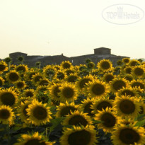 Agriturismo Le Terre Dei Cavalieri 