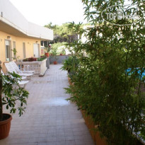 Paradiso Verde 