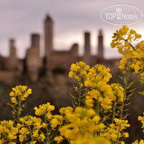 Leon Bianco San Gimignano