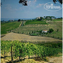 Poderi Arcangelo 