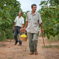 Tenuta Furnirussi 