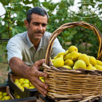 Tenuta Furnirussi 