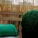 Salecce B&b 