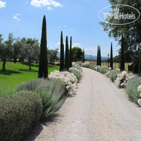 Alla Corte Delle Terme Resort Сад