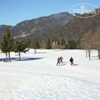 Domina Home Golf & Ski 