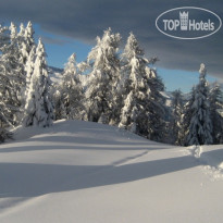 Alpenresort Belvedere Wellness & Beauty