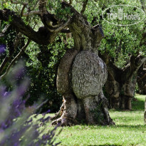 Le Tre Vaselle