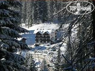 Фотографии отеля  Montana hotel Madonna di Campiglio 3*