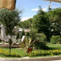 Terme Gazzella Bianca