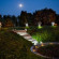 Cosmo Hotel Torri Территория