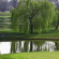 Le Robinie Golf Club 