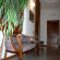 Lilium Hotel 