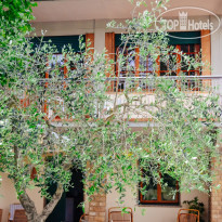 Il Poggiolino Villa B&B