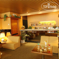 Best Western Viva Hotel Fleming Novoli бар
