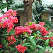 Residence Mendolita 