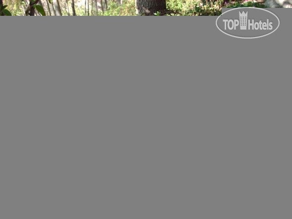 New photos from tourists Chartaria B&B