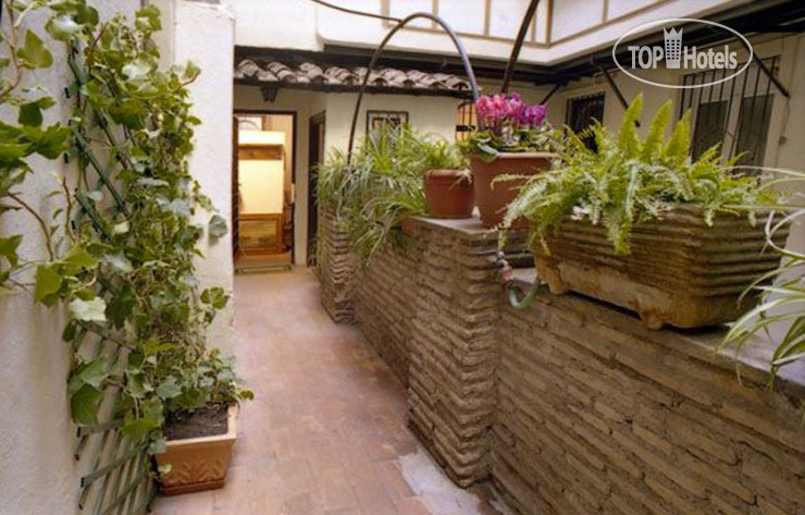 Campo Di Fiori Apartment