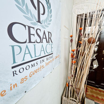 Cesar Palace Guesthouse 