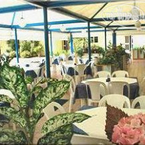 Alla Terrazza