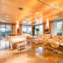 Premier and Suites