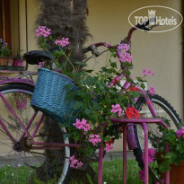 Al Mare Di Greis B&B 