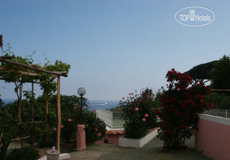 Новые добавленные фото туристов Villa Pina 3*