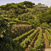 Castiglione Parco Termale Hotel Oasi 4*