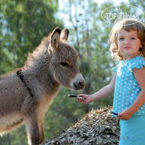 Arbatax Park Resort - Dune NATURE AND FAUNA PARK BELLAVIS